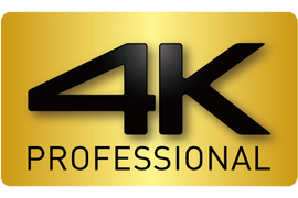 4K Professional Gold Logo